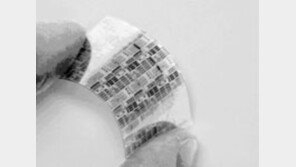 [컴퓨터]'두루마리 컴퓨터' 상품화 눈앞