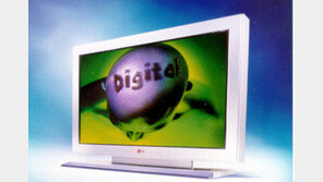 [컴퓨터]세계최대화면 60인치 PDP TV 시판