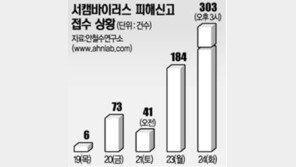 [이슈추적]서캠바이러스 기승…감염땐 시스템 속도 느려져