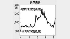 [특징주]금호종금 증권업 허가 소식 호재로 상한가