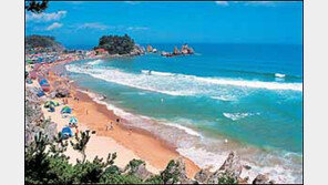 [여행]전문여행사 추천 '동해안 황금코스'