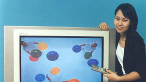 [컴퓨터]삼성전자,  HD급 디지털TV 출시