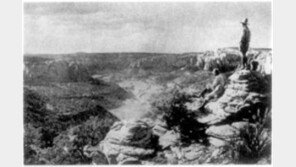 [인문사회]'탈 문명' 책 쏟아져…＂자연으로 돌아가라＂