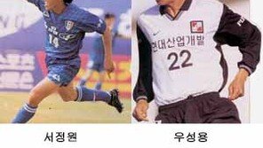 [프로축구]용병 '잠잠' 토종 '펄펄'…K-리그 득점왕 경쟁