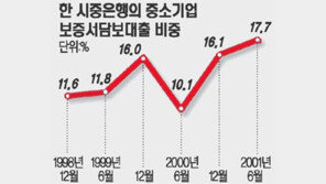 [금융]알짜 中企에도 ＂보증서＂…은행 대출위험 떠넘긴다