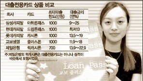 [금융]싸고 편한 대출카드 ＂수수료 조심＂