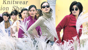 [패션 포토뉴스]니트의 유혹