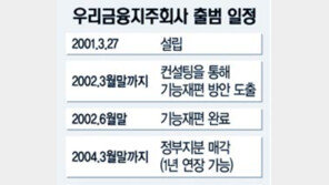[금융]공자금 투입은행 너도나도 ＂독자생존＂