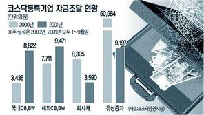 [금융]CB-BW 규제강화…벤쳐기업 ＂어떻게＂