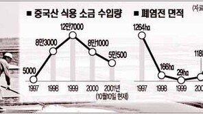 [이슈추적]국내 천일염 설 땅이 사라진다