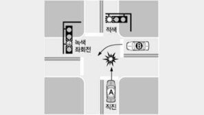 [교통문화도 월드컵시대/보험이야기]신호등있는 교차로