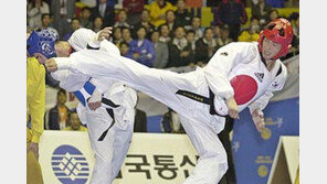 [스포츠 화제]한국男 불안한 정상…세계태권도 선수권 패막