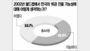 [텔레서베이]“한국 월드컵 16강 어렵다” 54%