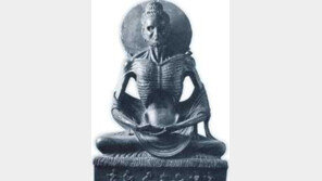 [인문사회]＂부처를 알아야 불교가 보이지＂ '내가 본 부처'