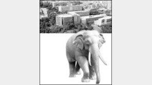 [대학순례/동국대]정보통신 주력 '21세기大' 도약