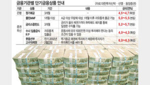 [금융]연말 목돈, 수익률 5~6%대 상품 주목!