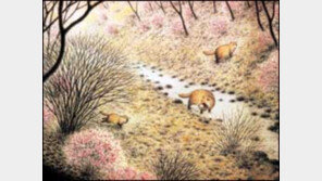 [어린이책]눈비비고 나와보니 봄이 왔네 '아기 너구리네 봄맞이'