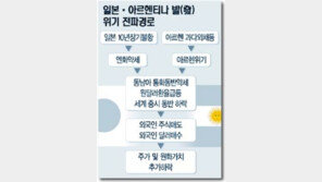 [금융][증권]日-아르헨 외풍에 아시아 경제 '흔들'