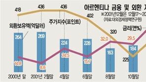 [금융]아르헨發 위기 금융시장 급랭 우려