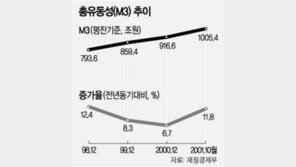 [금융]총유동성 1000조 넘어…물가상승 위협