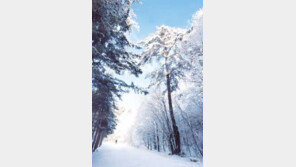 [국내여행]수험생 동해안 가족여행