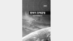 [인문사회]급변하는 21세기 신질서 '동북아전략균형'