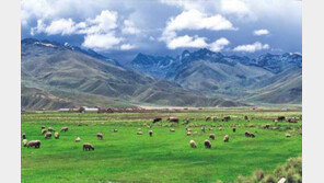 [山과 사람]마추피추행 협궤열차와 페루동부 '아마존의 눈썹'