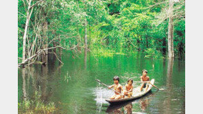 [山과 사람]'지구의 허파' 브라질 아마존
