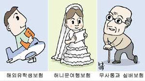 [금융/카드·보험특집]AIG손보 '맞춤상품' 눈길