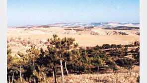 [山과 사람]中 방사림…'녹색 만리장성' 쌓는다