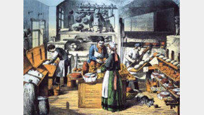 [인문사회]빵으로 푼 인류의 흥망성쇠 '빵의 역사'