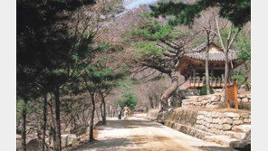 [국내여행]시냇물 벗삼아 “역사 속으로” …문경새재