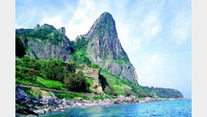 [국내여행]해안 절벽위서 밤바다를 보노라