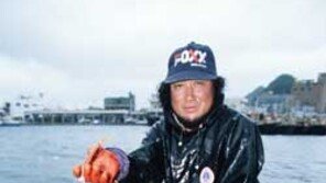 [국내여행]대게의 계절… ‘강구 맛여행’ 어때요