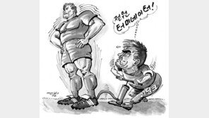 [월드컵 한마당]체력 담금질 ‘매일 1%씩 ↑’