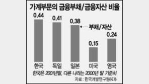 [금융]＂가계대출 17조중 56% 집장만用＂