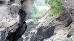 [국내여행][강원]태백산 철쭉제 보름 앞당겨 개막