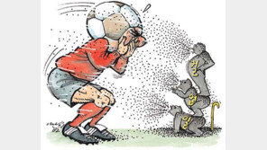 [월드컵 한마당]월드컵 초치는 ‘홍사(弘砂)’ 현상