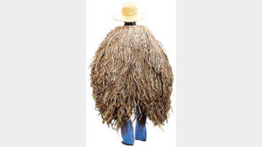 [인문사회]'사라져가는 이땅의 풍경과 서정'