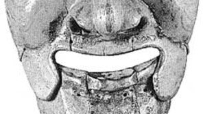 [인문사회]웃음의 멋-맛-뜻 제대로 알기 '해학형성의 이론'
