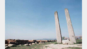 [한국철학의 고향을 찾아서(2)]경주 분황사-황룡사 터와 원효