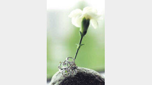 [스타일/호주 '체로네'자선 보석쇼]산뜻한 디자인 천연의 광채