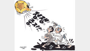 [월드컵 한마당]월드컵의 힘