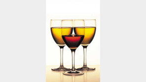 [스타일][음식]술친구들이 말하는 '술, 술, 술…'