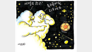[월드컵 한마당]우주에도 월드컵 열기