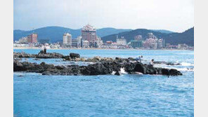 [국내여행]달맞이 고개… 송정해변… 기장 멸치축제