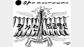 [월드컵 한마당]일본의 비명