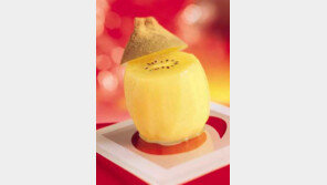 [스타일][음식]골드키위, 맛도 영양도 '업그레이드'