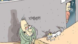 [월드컵 한마당]찬밥된 지방선거