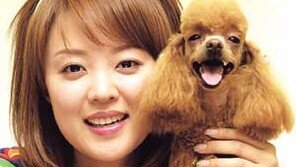 [스타일]＂강아지는 내친구＂…여름철 털관리는 시원하게